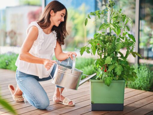 Kastmissüsteemiga taimepott tomatile_roheline